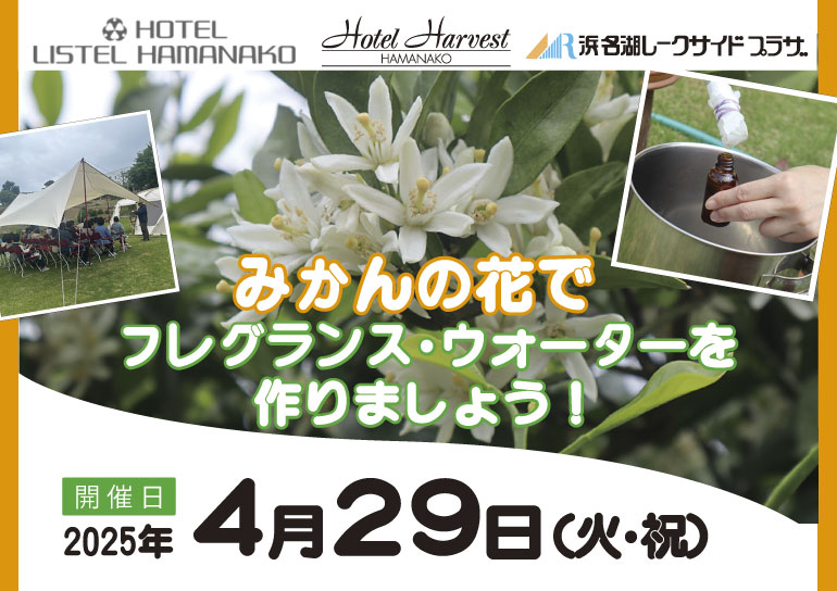 2025年4月29日(火・祝)開催三ヶ日町内3ホテル合同企画みかんの花で